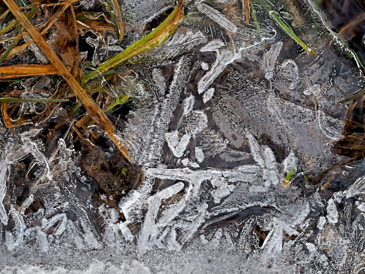 Künstlerin Natur hat unsere Wiese besucht! - Oeuvres artistiques sur le pré gelé...