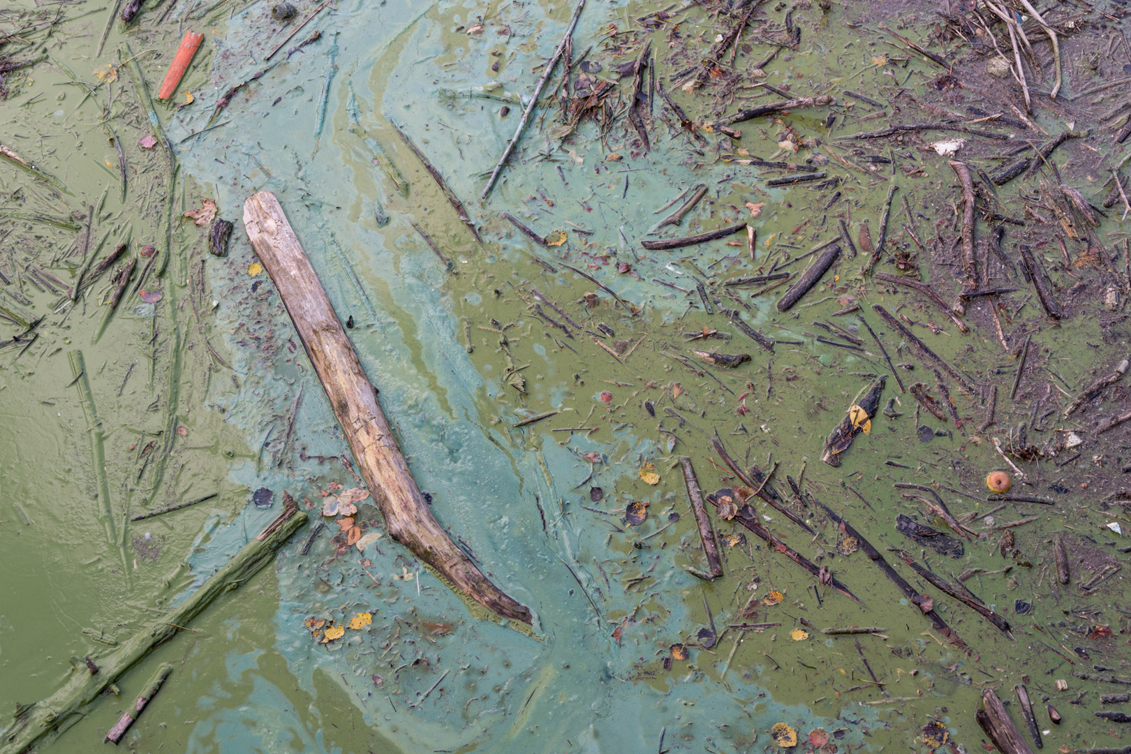 Künstlerin Natur malt in Öl