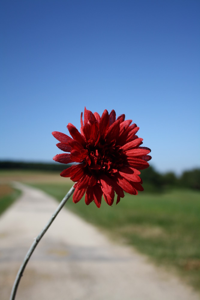 künstliche blume.