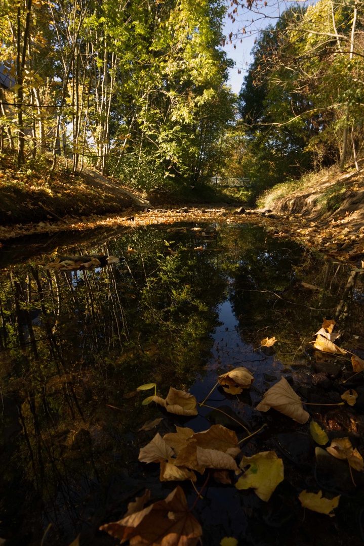 künstlicher Kanal im Herbst