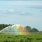 künstlicher Regenbogen