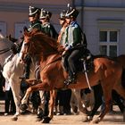 Kürassiere auf dem Domplatz