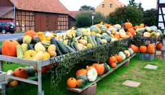 -Kürbis-Herbstdekoration vom Feinsten-