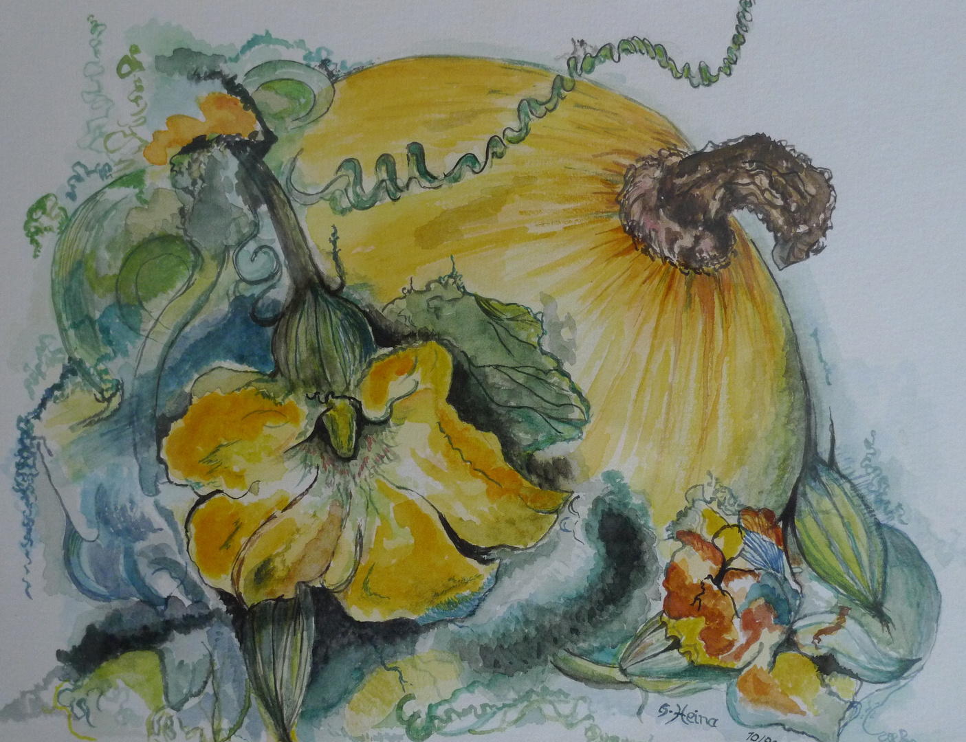 Kürbis in Aquarell