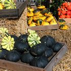 Kürbis, pumpkin, abóbora, zucca, calabaza, citrouille