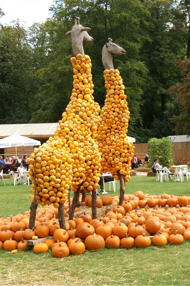 Kürbisausstellung im blühendem Barock zu Ludwigsburg