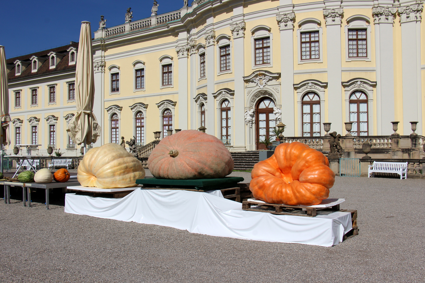  Kürbisausstellung im Blühenden Barock