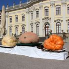  Kürbisausstellung im Blühenden Barock