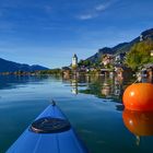 Kürbisernte am Wolfgangsee