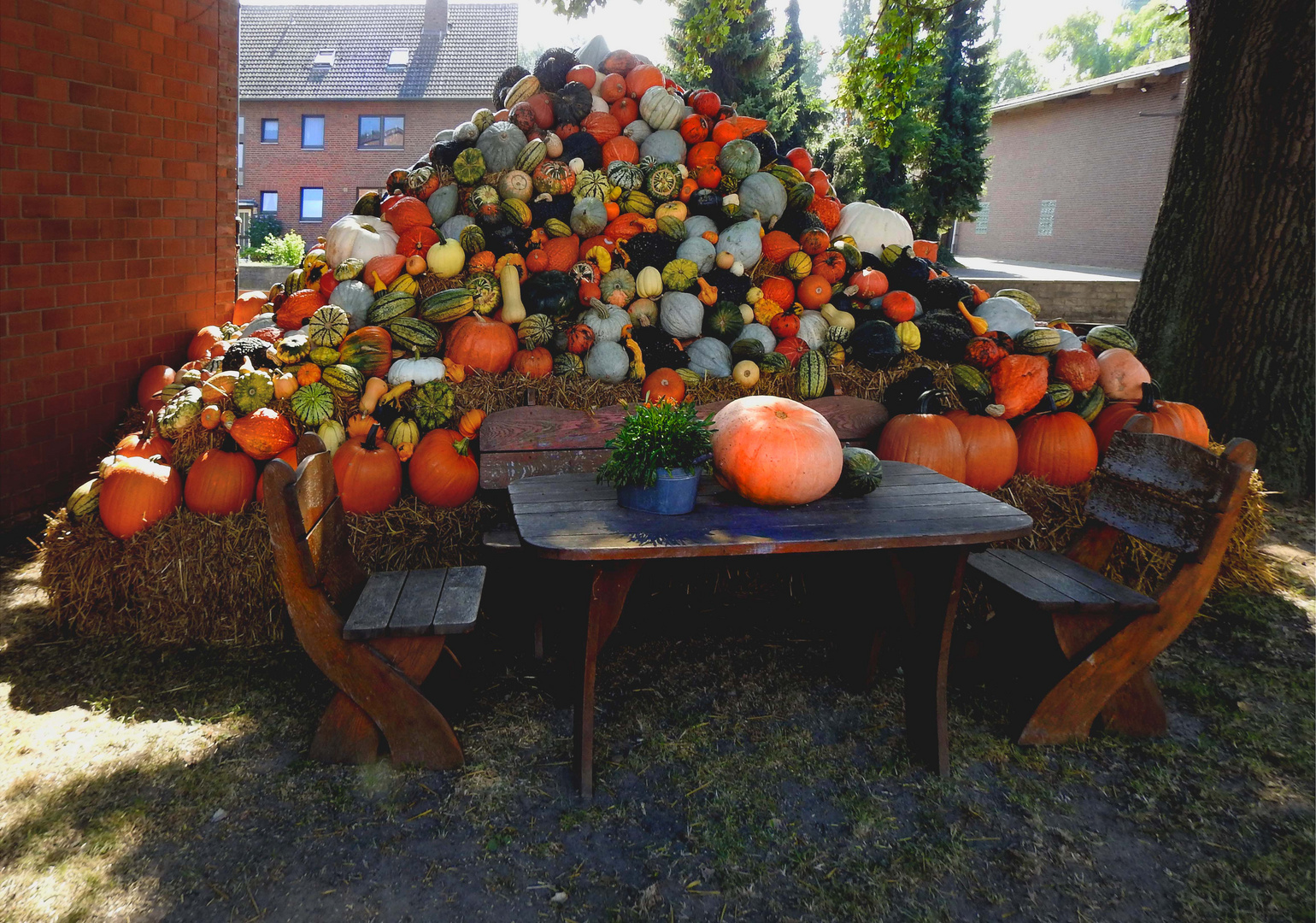 Kürbishof in der Nähe von Wunstorf