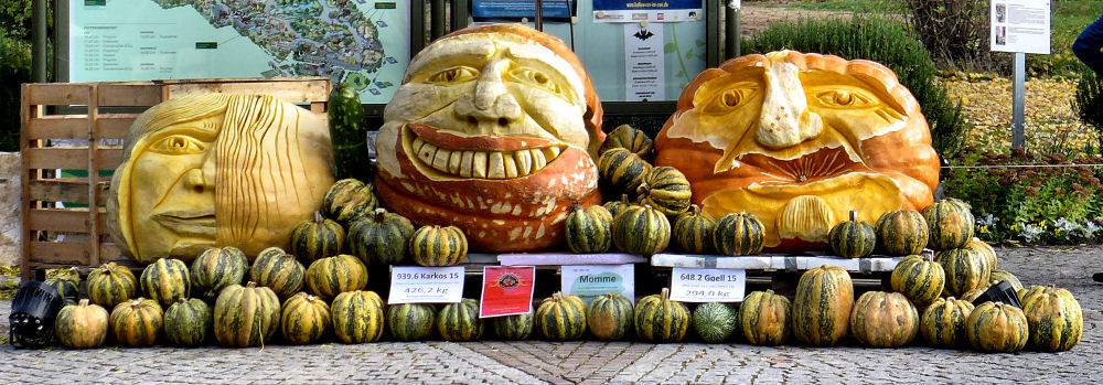 Kürbiskunst im Kölner Zoo