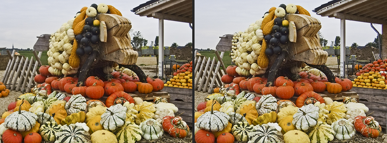 "Kürbisschwein" (3D)