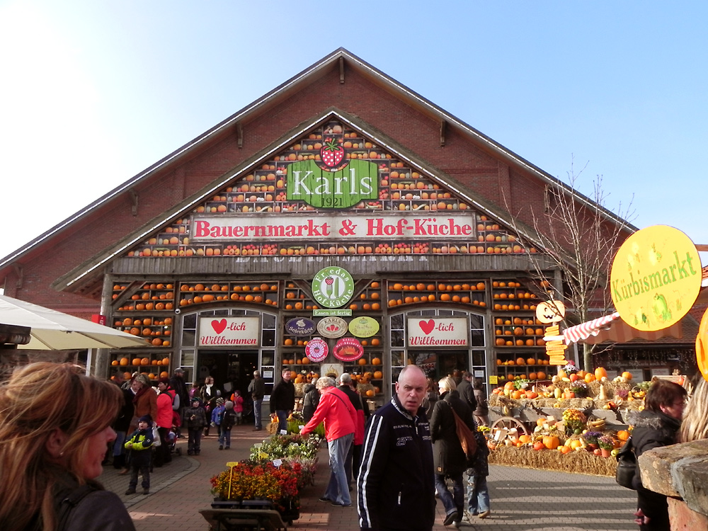 Kürbisse, Kürbisse, Kürbisse und unendlich Vieles mehr