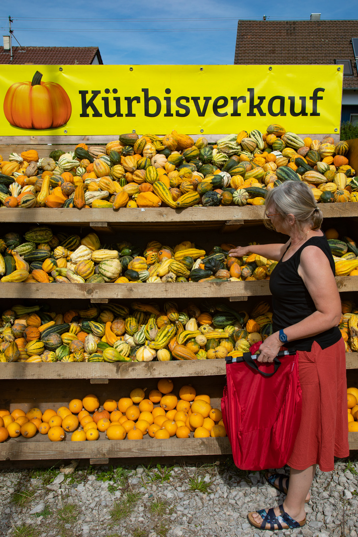 Kürbisverkauf auf der Schwäbischen Alb