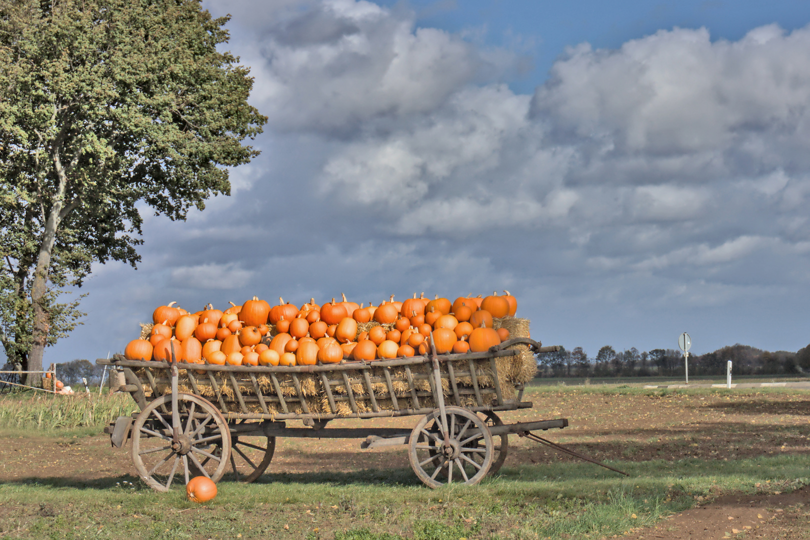 Kürbiswagen