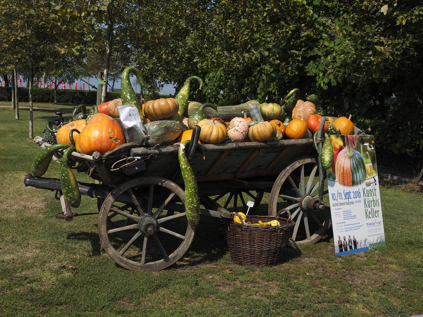 Kürbiswagen in Podersdorf