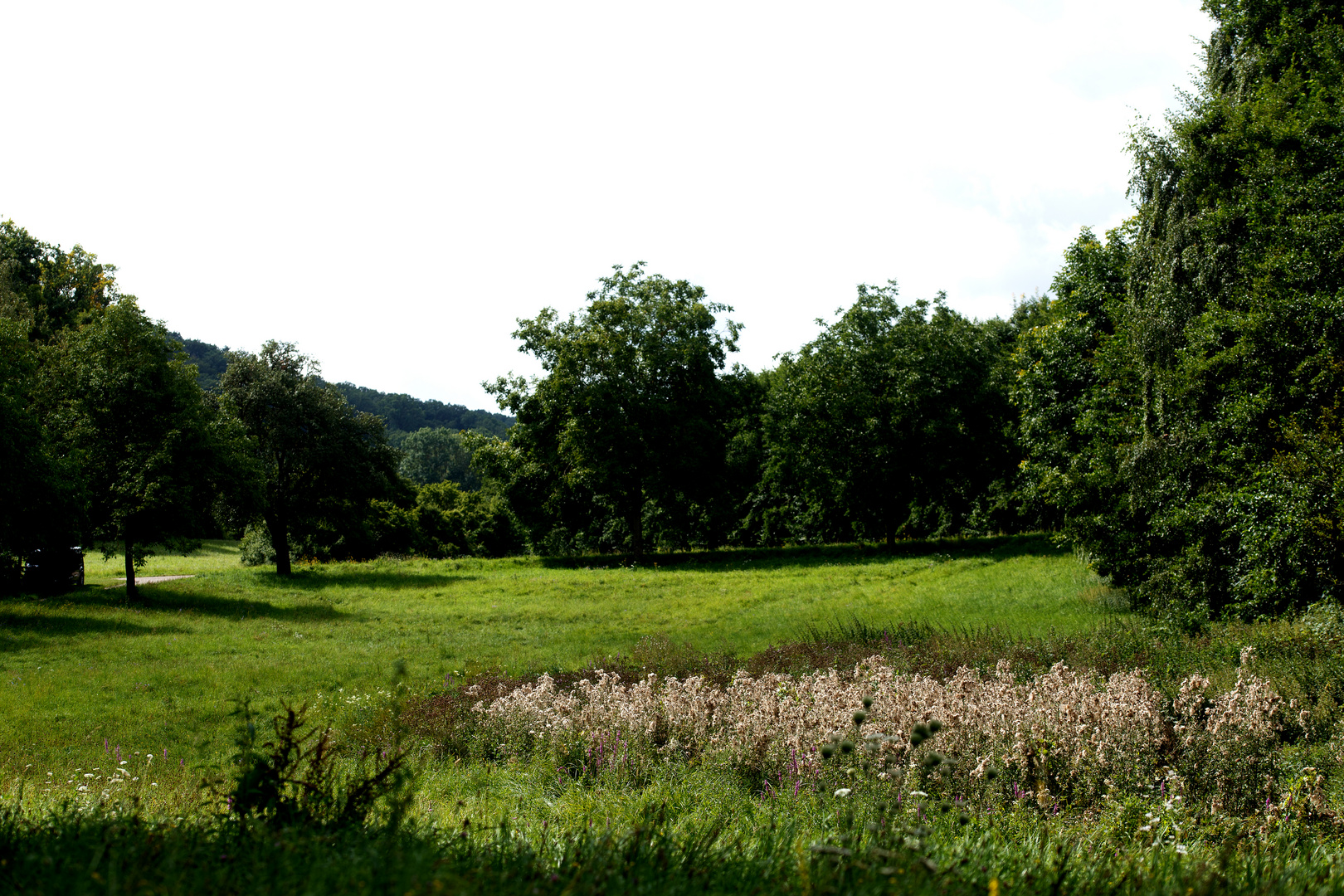 Kürnbach-Schlosswiesensee-Rundweg