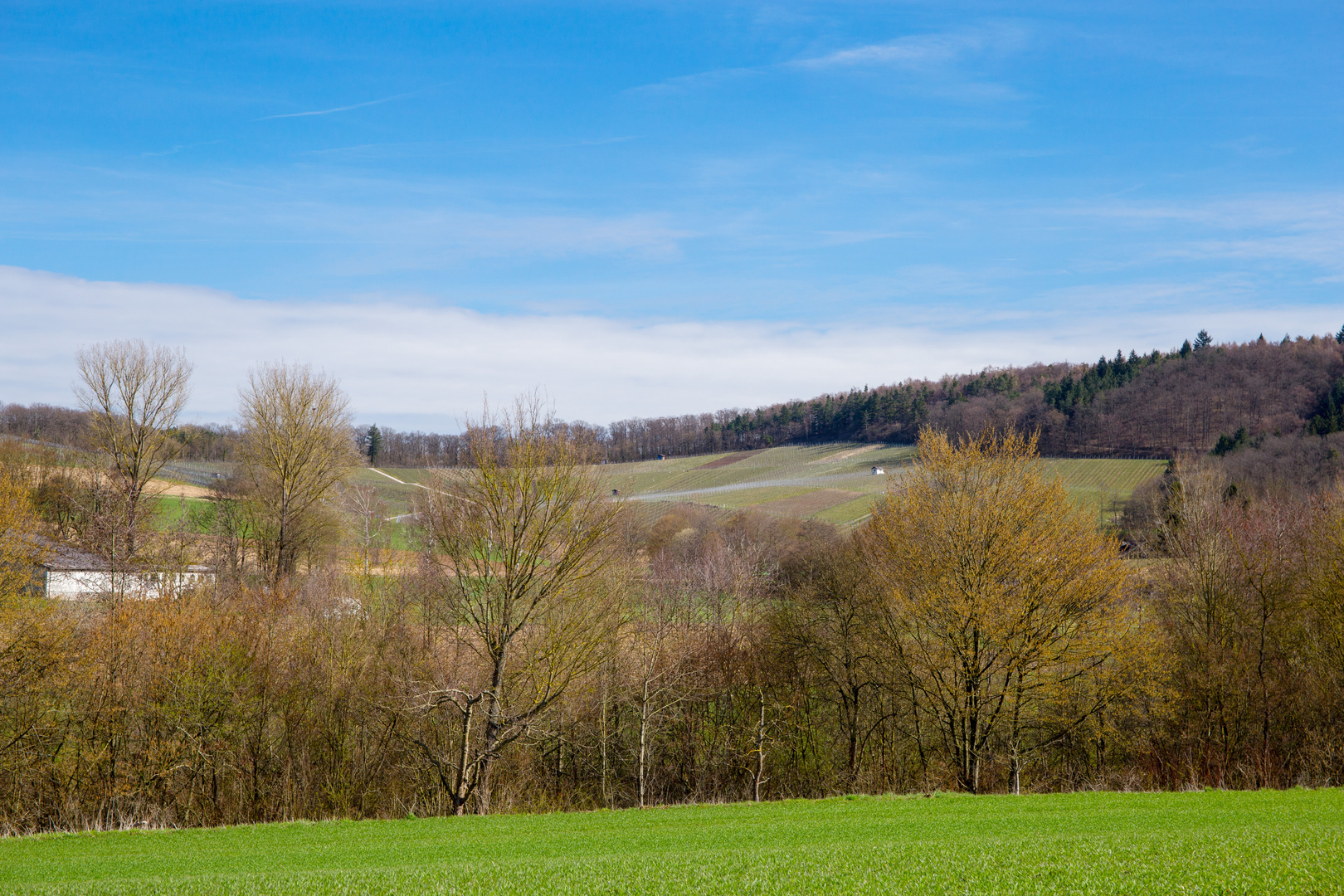 Kürnbach-Weinberglandschaft