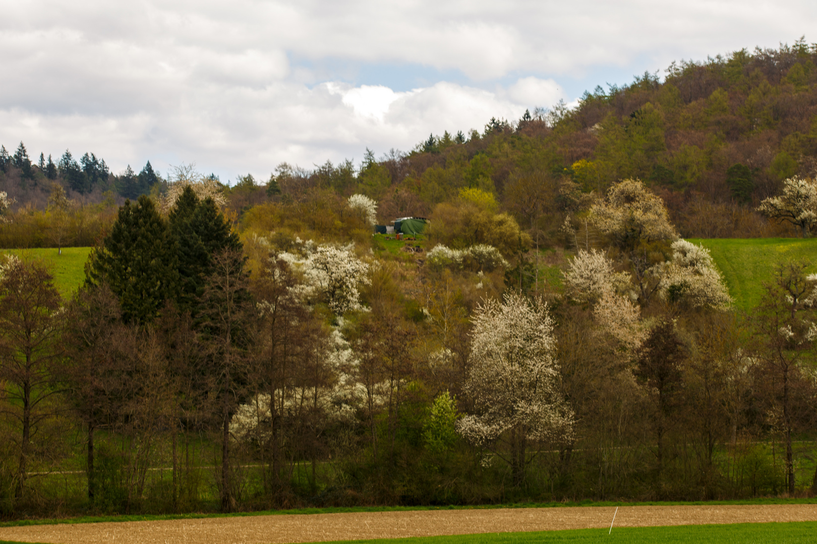 Kürnbacher Frühling