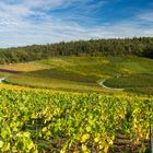 Kürnbacher Weinberge