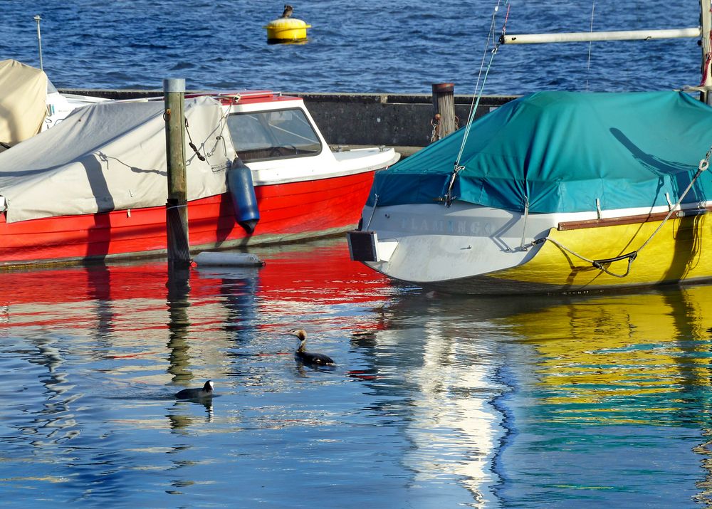 Kürzlich am See