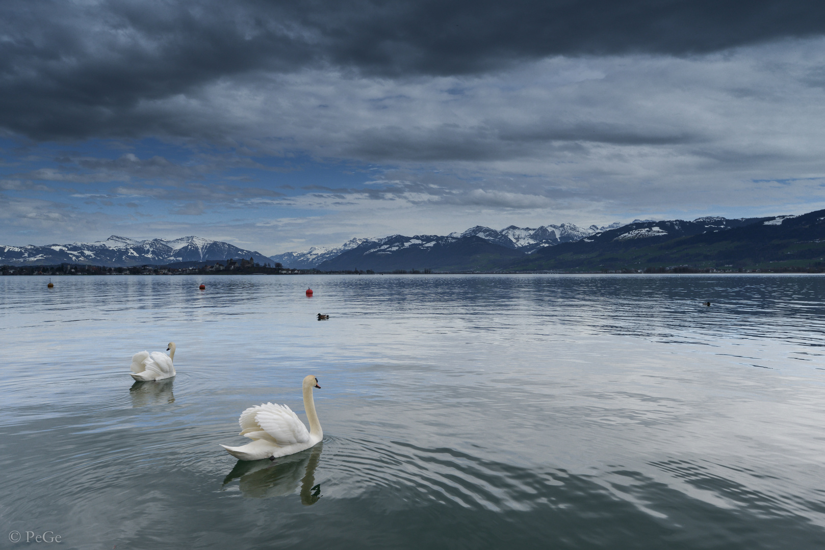 kürzlich am Zürichsee