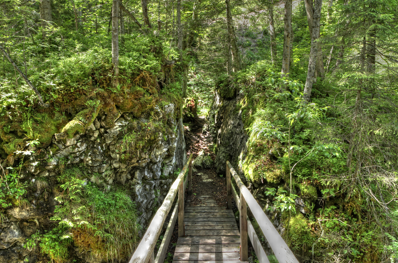 Kürzlich im Urwald...