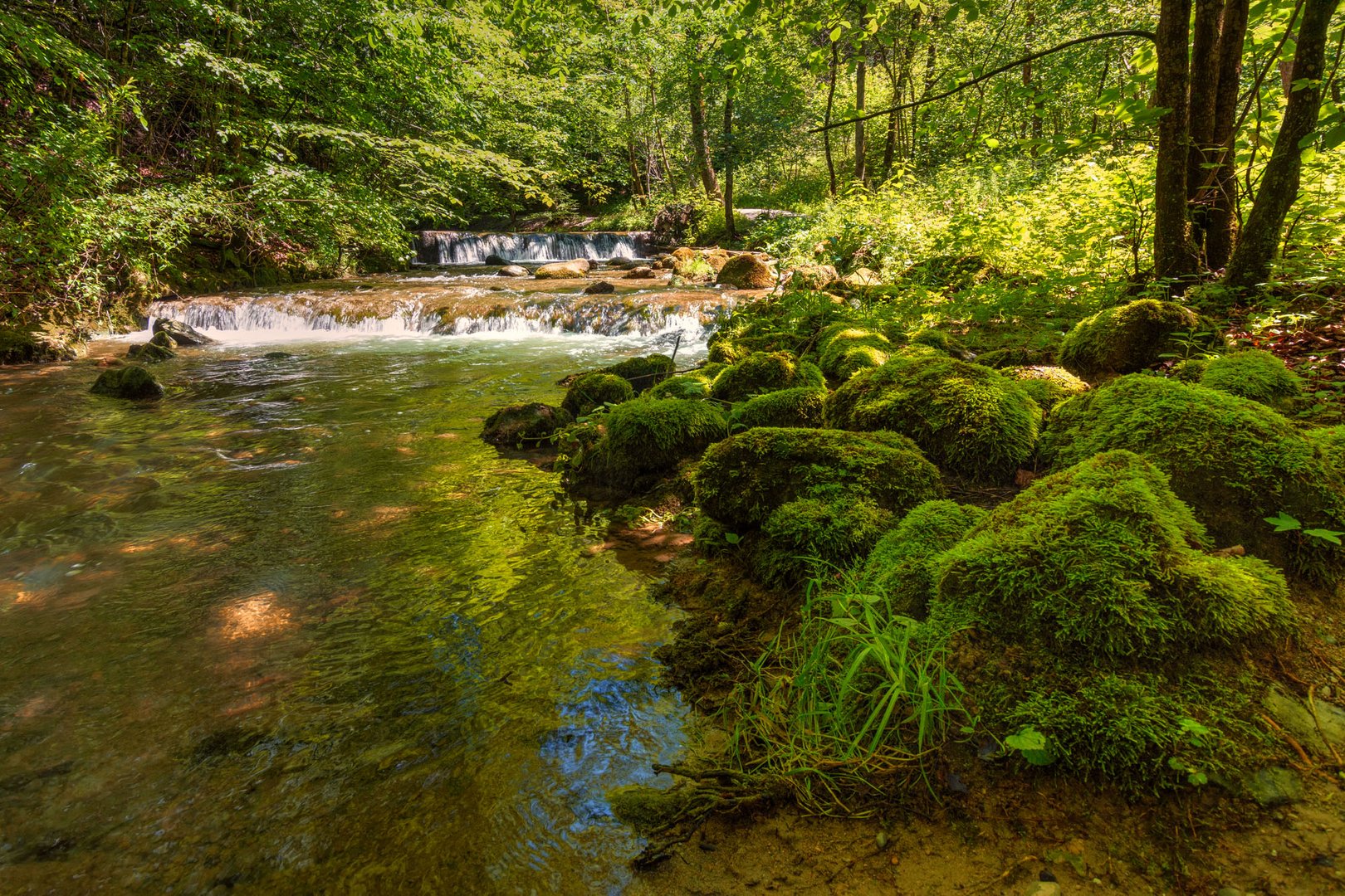 Küsnachter Tobel 2 Foto & Bild wald, landschaften, frühling Bilder