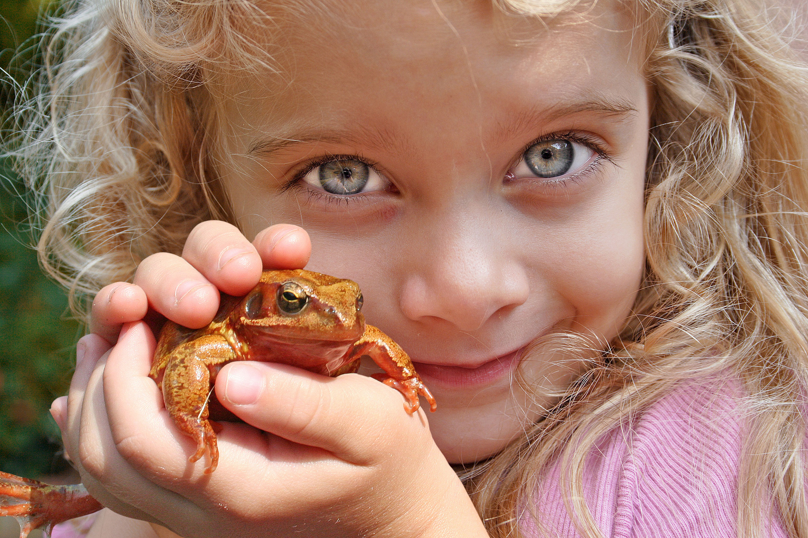 "Küss den Frosch"