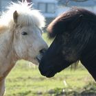 Küss mich Dreckspatz