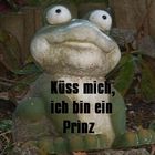 Küss mich, ich bin ein Prinz