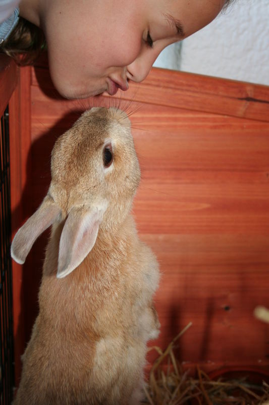 Küß mich - ich bin ein verzauberter Hamster