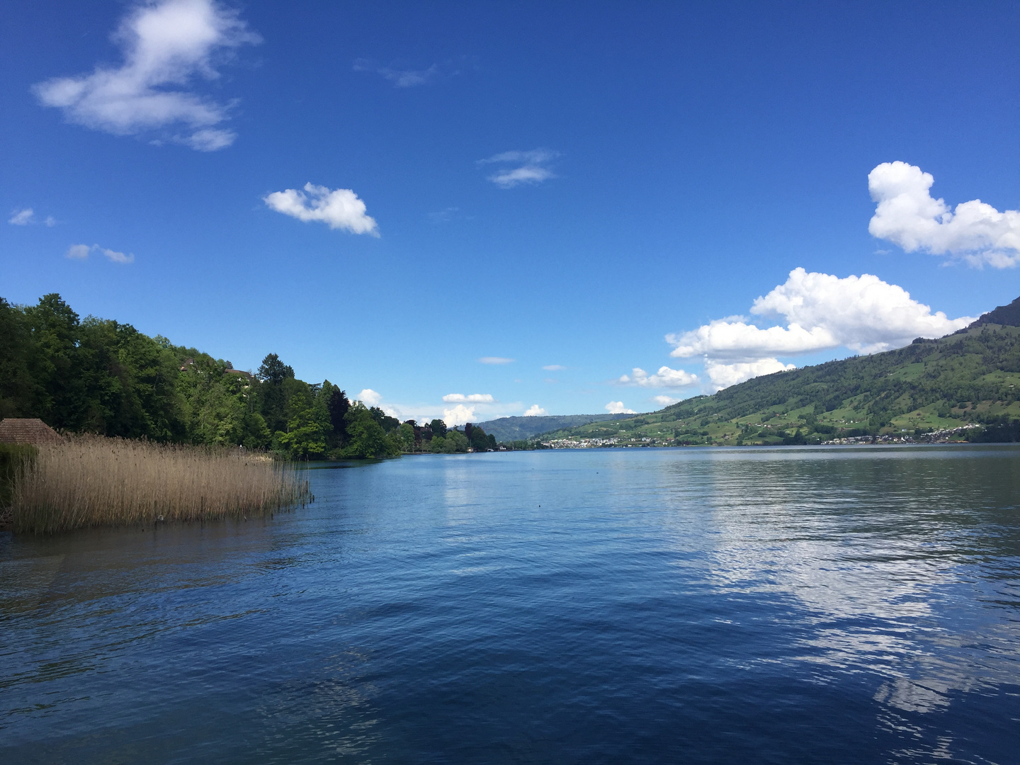 Küssnachter Seebecken