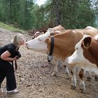küsst die kuh die kuh oder die kuh die kuh? :-)