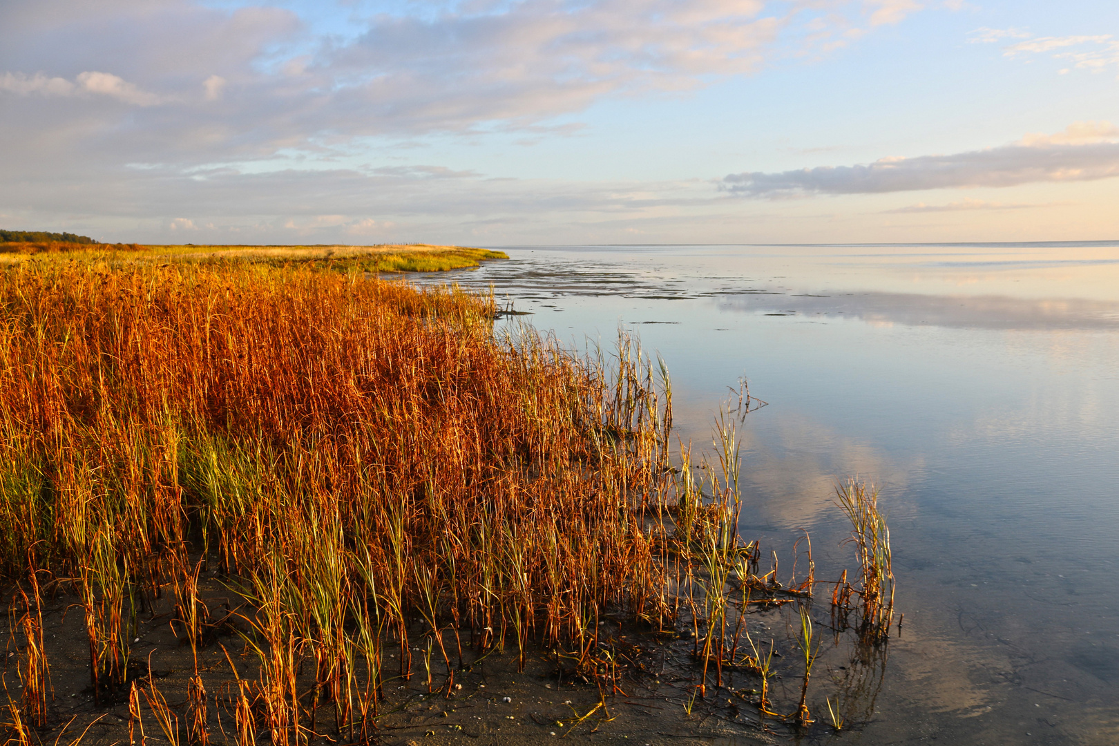 Küste am Kattegat