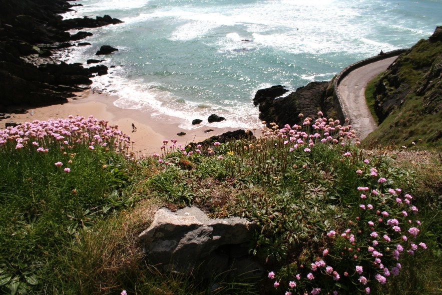 Küste auf der Dingle Halbinsel