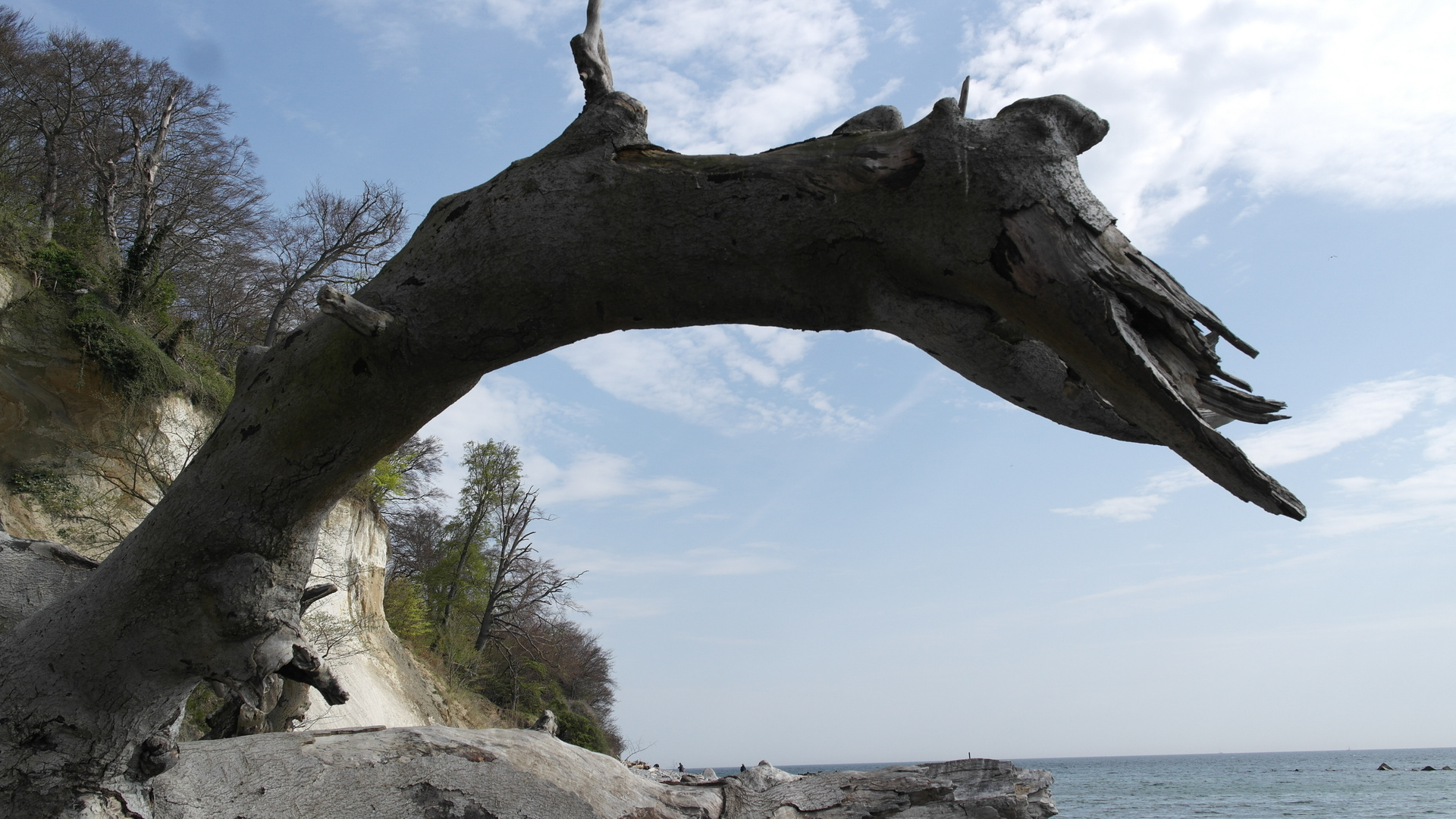 Küste auf Rügen