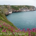 Küste bei Brixham (Südengland)