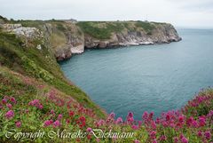 Küste bei Brixham (Südengland)