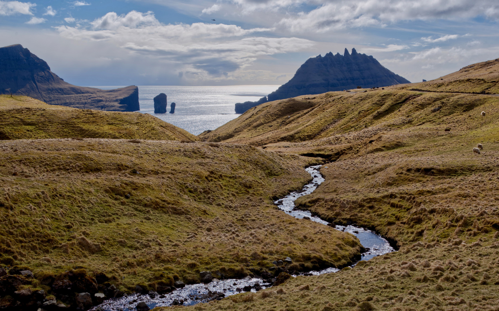 Küste bei Gásadalur (Vágar)