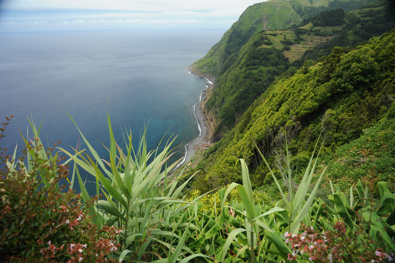 Küste bei Nordeste, Sao Miguel 2014