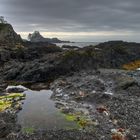 Küste bei Ucluelet , Vancouver Island