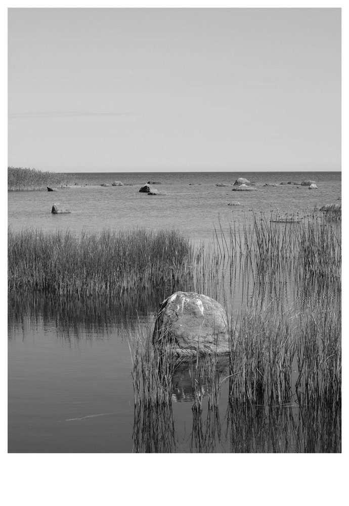 Küste im Lahemaa Nationalpark, Estland