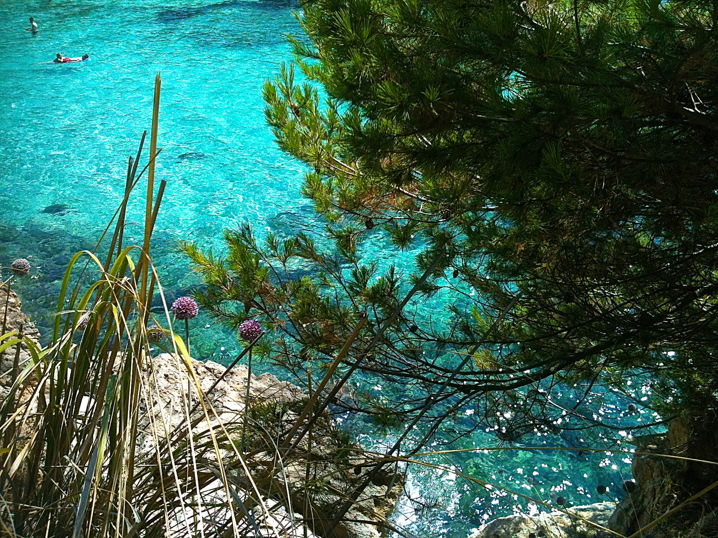 Küste in Cala Ratjada.