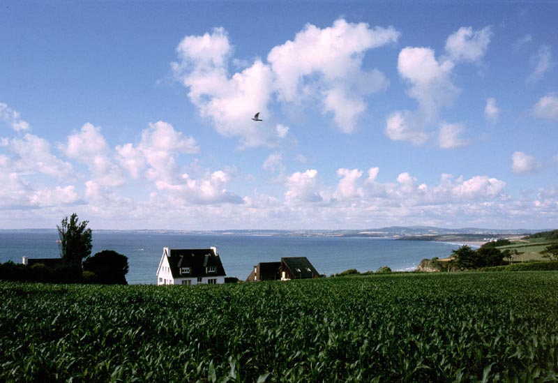 Küste in der Bretagne