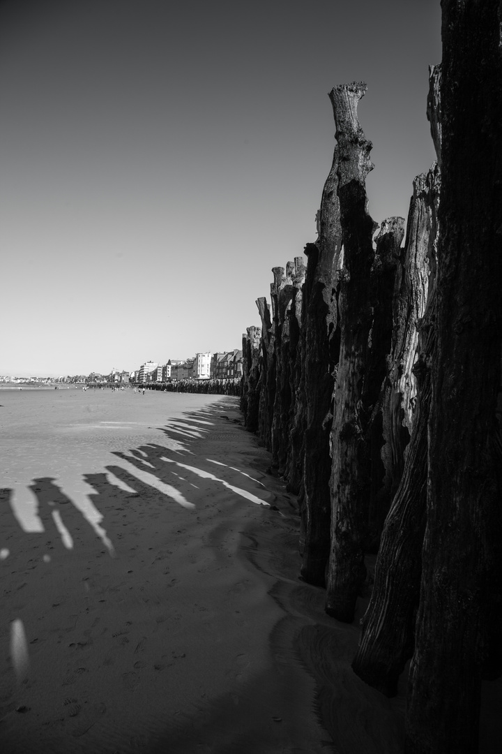 Küste in der Bretagne S/W-Entwicklung