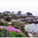 Küste in Monterey