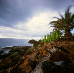 Küste (pinhole)