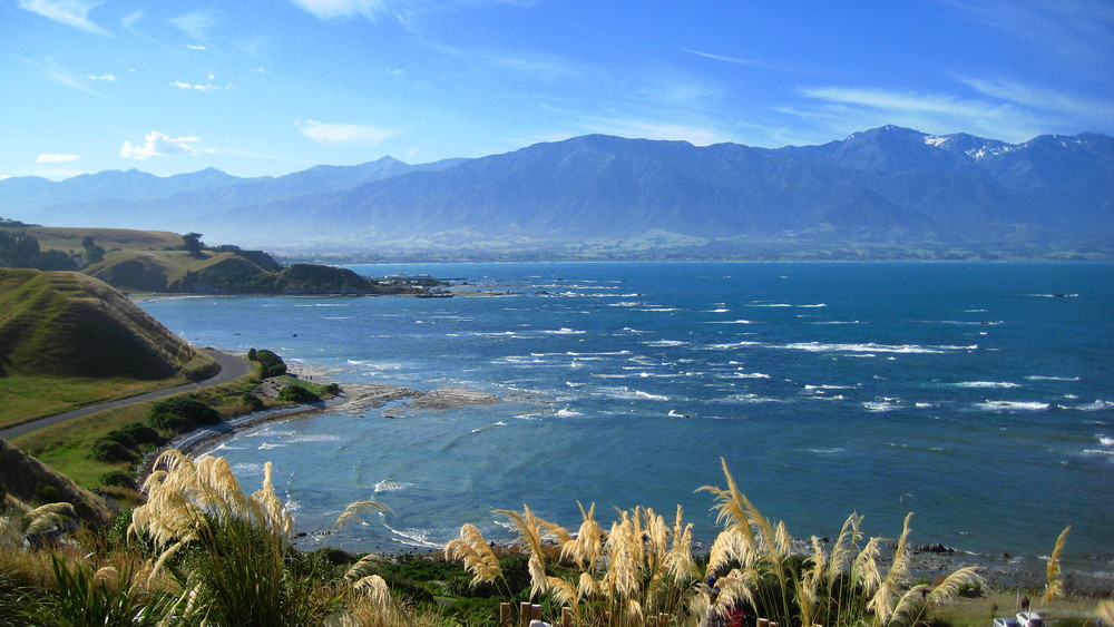 Küste von Kaikoura