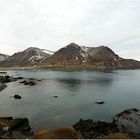 Küste vorm Borgarfjörður